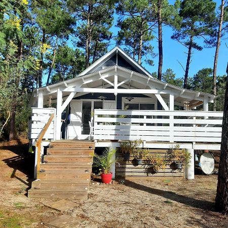 Domaine Residentiel Naturiste De La Jenny Chalet 6 Pers Villa Le Porge Luaran gambar